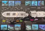 SS Thistlegorm (Wreck Dive) - Image 2