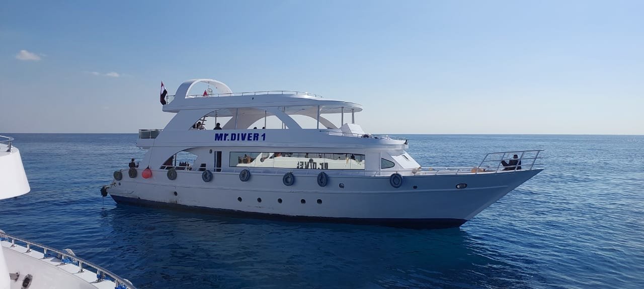 WhatsApp Image 2026-01-20 at 3.36.26 PM Tiran Island VIP Boat Trip - Image 1