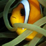 Awesome dive centre and dive team