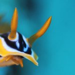 Fantastic Dive centre with great management